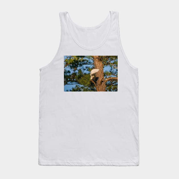 Great egret Tank Top by KensLensDesigns